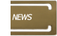 News Category