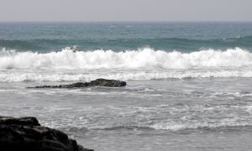 Walking by the surf Walking by the surf