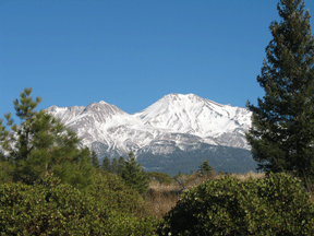 Shasta-1