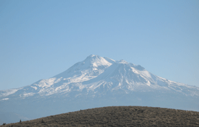 Shasta-4