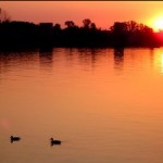 gratitude-writing-prompt