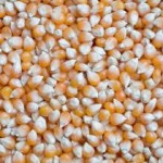 popcorn-memoir-writing-prompt