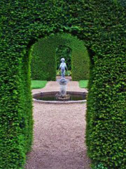 memoir writing, journaling, writing and healing, memoir