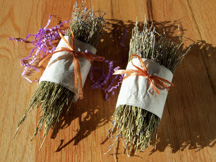 memoir writing prompts, memoir, craft of memoir, writing, autobiography