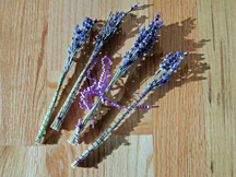 memoir writing prompts, memoir, autobiography, family stories, memoir writing