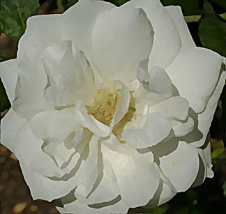 Love: Romantic love is a wonderful thing, but let's not just limit it to that. Allow it to change and be deeper.