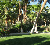 memoir, memoir writing, memoir contest winner, memoir contest