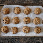 memoir writing, memoir and Earth Day, memoir, journaling, recipe memoir writing, memoir and Earth Day, memoir, journaling, recipe