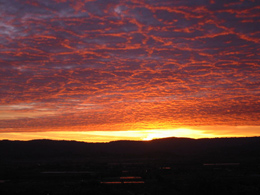 memoir, memoir writing prompt, personal historian, journaling, autobiography, memoir writing