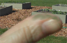 story-structure-theme-and-message-g-thumb Yes, it's starting to turn green