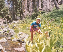 memoir, memoir writing contest winner, memoir contest, memoir writing, journaling, lifewriting