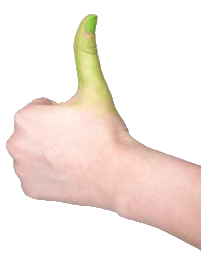 storytelling, memoir writing prompt, writing prompt, memoir, life writing storytelling, memoir writing prompt, writing prompt, memoir, life writing