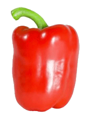 Writing-Alchemy-Vitamin-C, writing tips, memoir, journaling, life writing