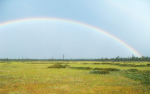 memoir, writing, storytelling, memoir writing prompts, writing prompts, journaling, lifewriting