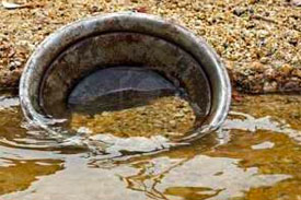 memoir-writing-tip-interviewing-gold