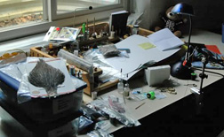 lifewriting, storytelling, memoir, journaling, memoir writing