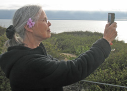 memoir, memoir writing, memoir writing prompts, how to write a memoir, storytelling memoir, memoir writing, memoir writing prompts, how to write a memoir, storytelling