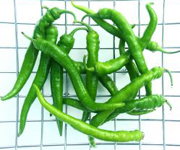 memoir writing memoir writing