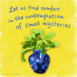 Susie-Spangler, memoir writing