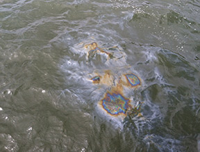 2013-uss-arizona, memoir, honor the memory