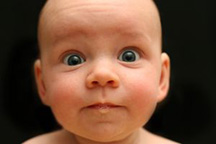 memoir, the five senses, writing about the sense of scent memoir, the five senses, writing about the sense of scent