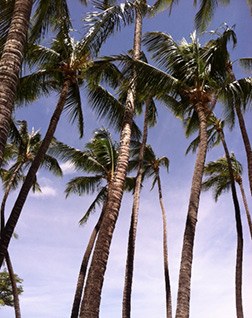 memoir writing and family stories