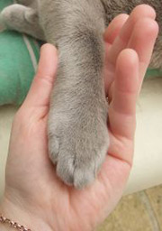 Sensory detail in memoir writing Sensory detail in memoir writing