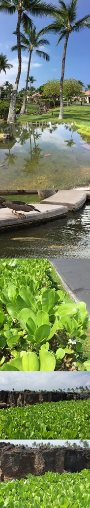 memoir writing tip memoir writing tip